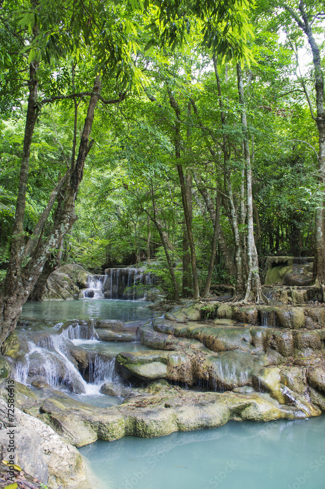 Waterfall in the forest Waterfall in the forest