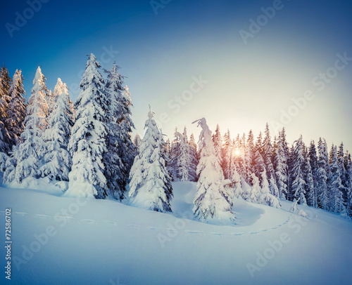 Beautiful winter sunrise in the mountains.