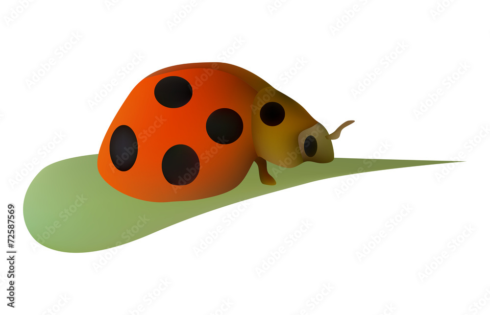 Fototapeta premium Ladybug on Leaf