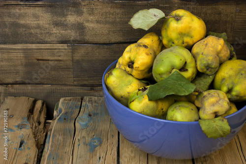 Plucked from the tree quince.