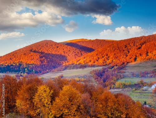 colored autumn mountains © Leonid Tit