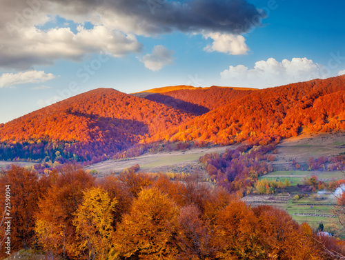 colored autumn mountains