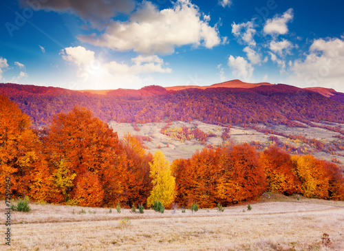 colored autumn mountains