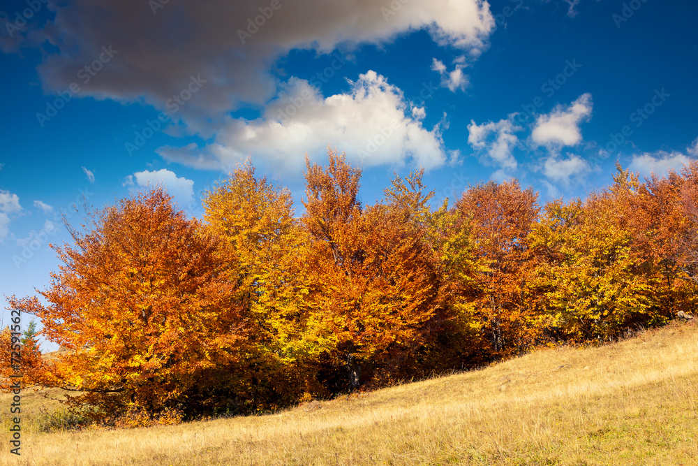 colored autumn mountains