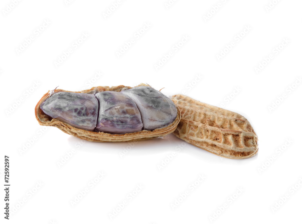peanuts isolated on white background peanuts isolated on white background