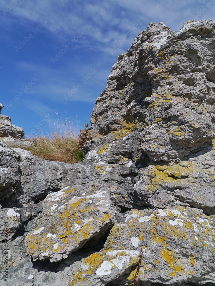Fototapeta premium Raukars at the coast of the island Gotland in Sweden