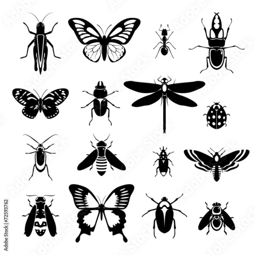 Insects icons set black and white