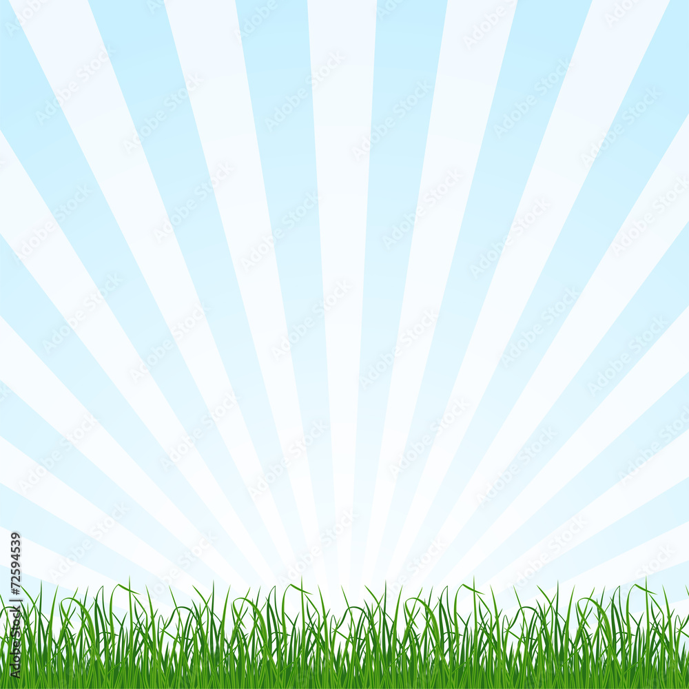 Obraz premium Landscape background with grass and sky. Vector