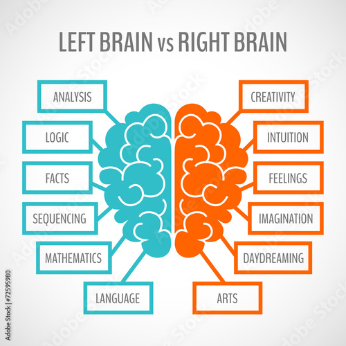 Brain hemispheres infographics
