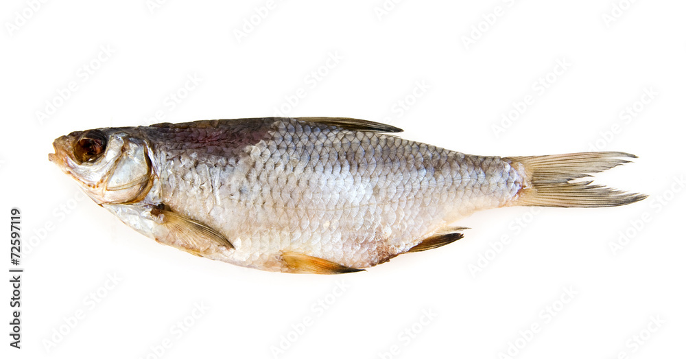 dried fish dried fish