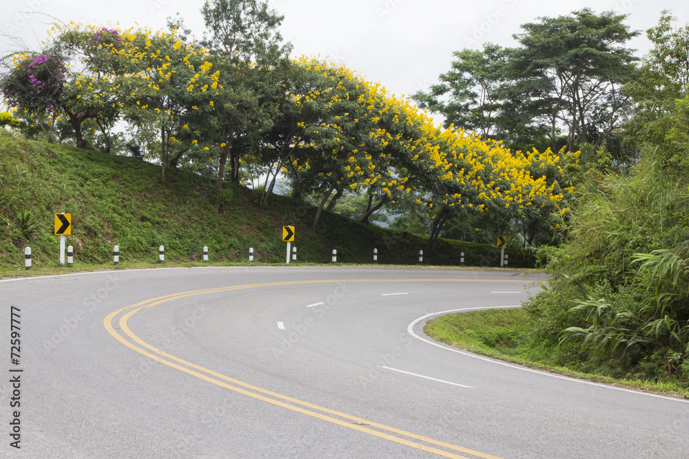 Curved road with trees and flowers along the way