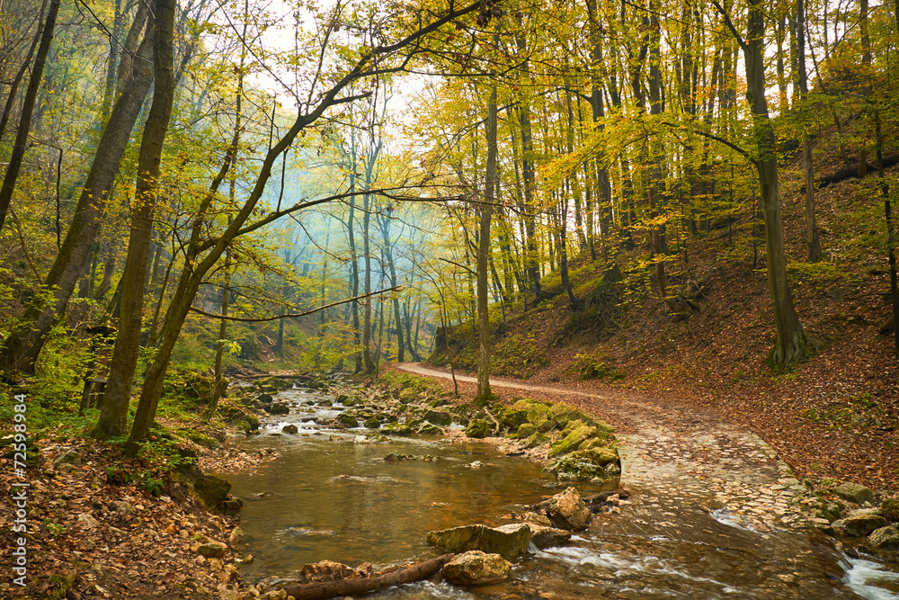 Stream in the autumnal forest Stream in the autumnal forest