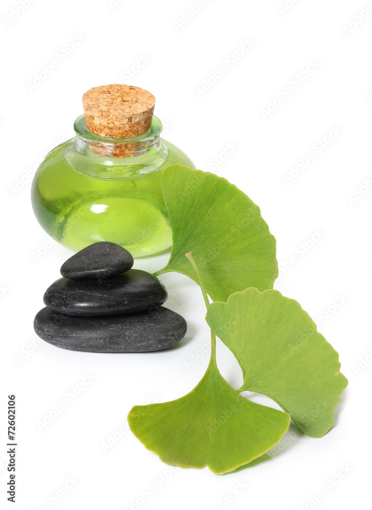 ginkgo ginkgo