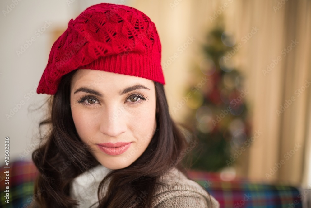 Portrait of a beautiful brunette at christmas Portrait of a beautiful brunette at christmas