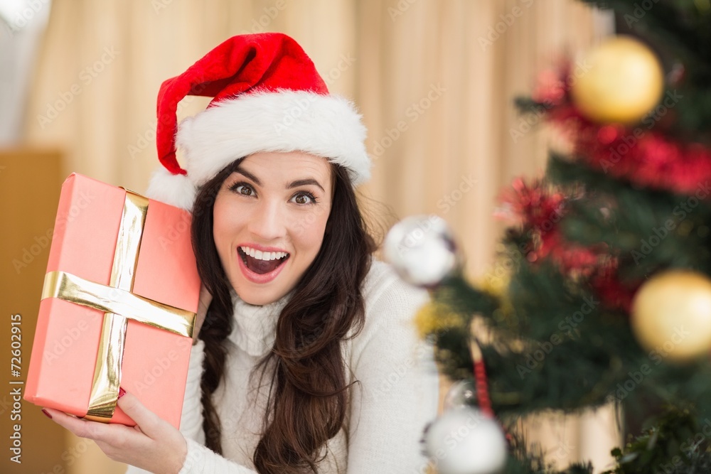 Surprised brunette holding a gift Surprised brunette holding a gift
