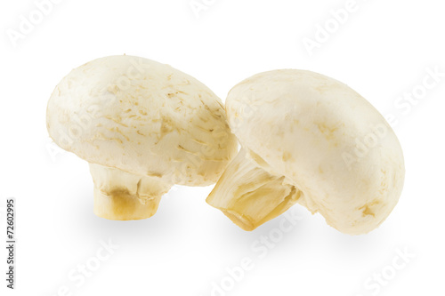 Two champignon on a white background