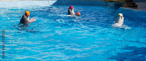 Fotolia アドビストックのデザイン かべいろ Com おしゃれ壁紙リフォーム貼り替え インクジェット壁紙のかべいろ Com Fotolia アドビストックのデザイン かべいろ Com おしゃれ壁紙リフォーム貼り替え インクジェット壁紙のかべいろ Com