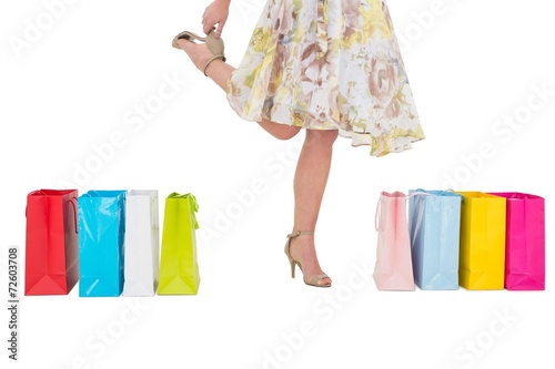 Elegant woman with shopping bags