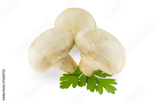 Three mushrooms with parsley on a white background
