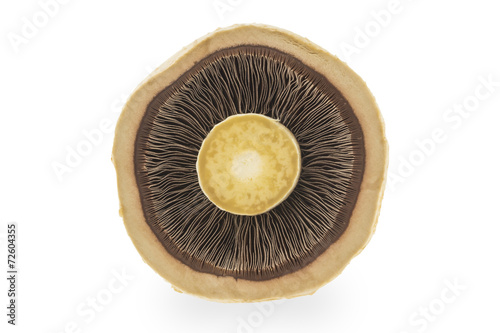 Slice mushroom on white background