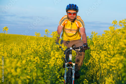 Mtb biker is cycling in yellow rapeseed field