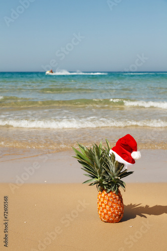 Pineapple at santa hat .
