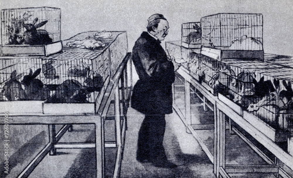 Louis Pasteur with his experimental animals 1884 Louis Pasteur with his experimental animals 1884