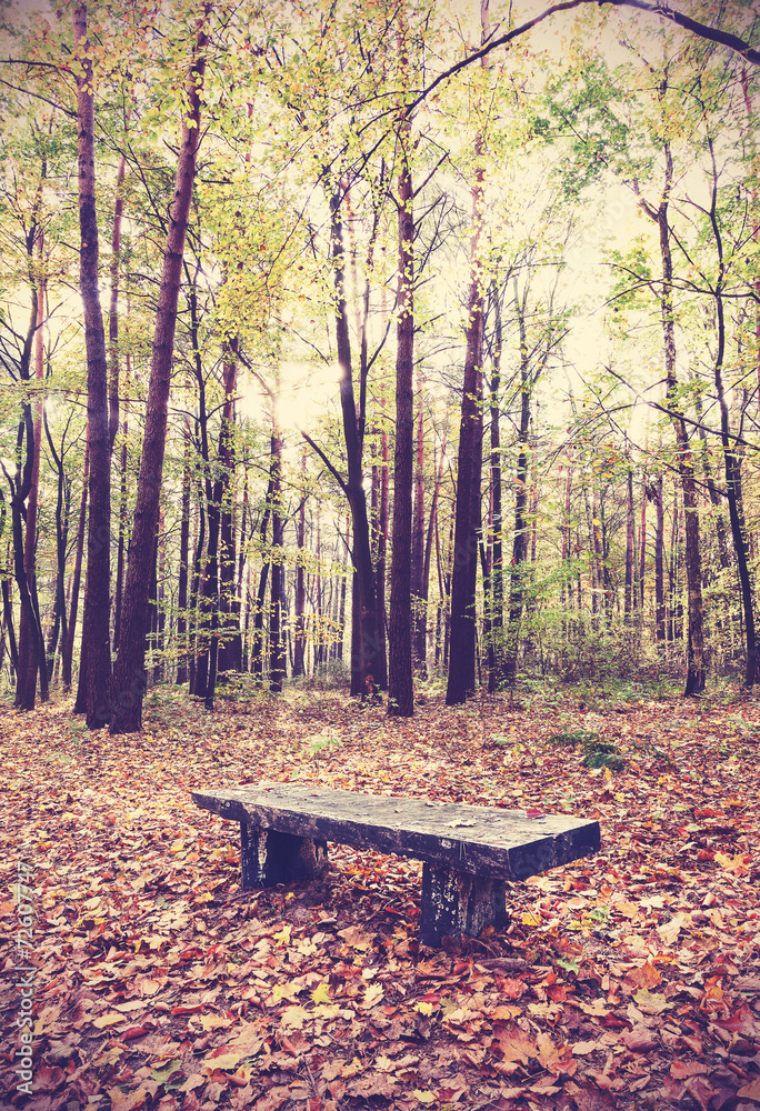 Vintage filtered picture of bench in a forest.