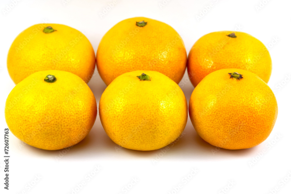 orange on white background