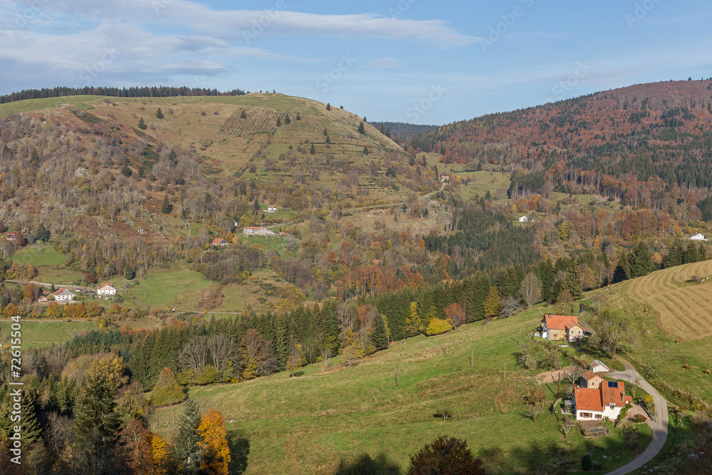 paysage des Vosges