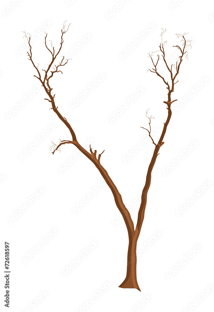 Dead Tree Illustration Dead Tree Illustration