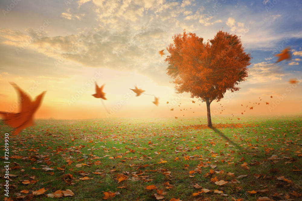 Heart shaped tree during fall - obrazy, fototapety, plakaty 