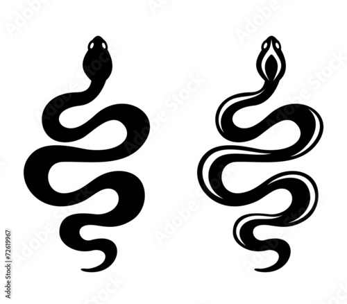 Snakes. Vector black silhouettes.