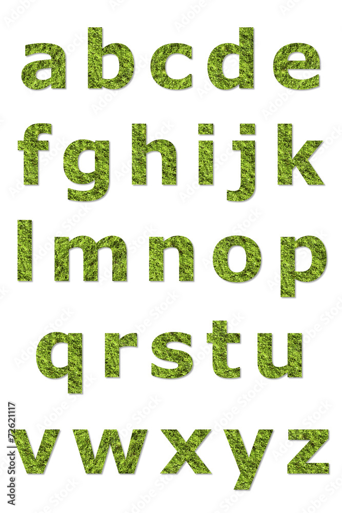 lower letter of green lichen lower letter of green lichen