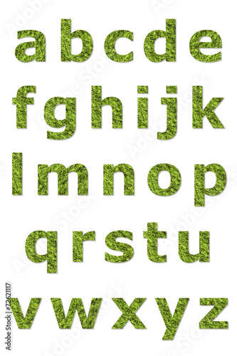 lower letter of green lichen