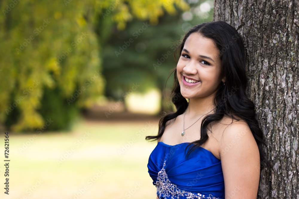 Quinceanera Dress Quinceanera Dress