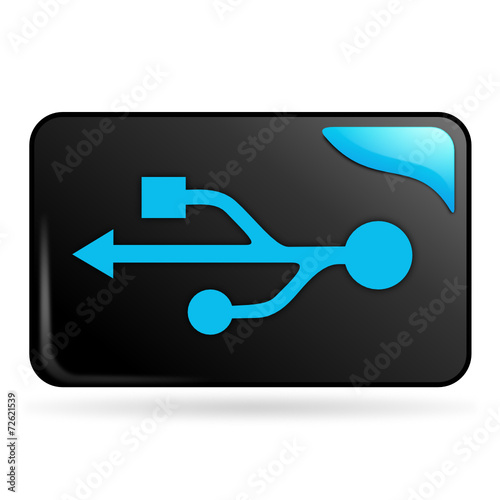 connexion usb sur bouton web rectangle bleu