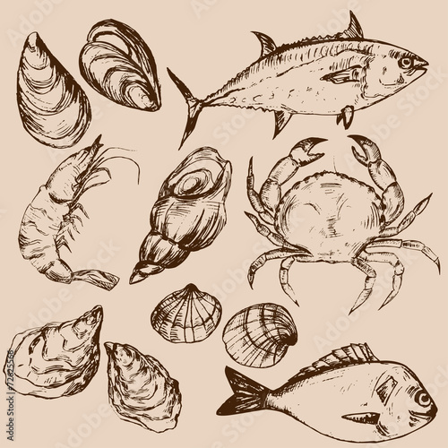 Hand drawn seafood, vector illustration