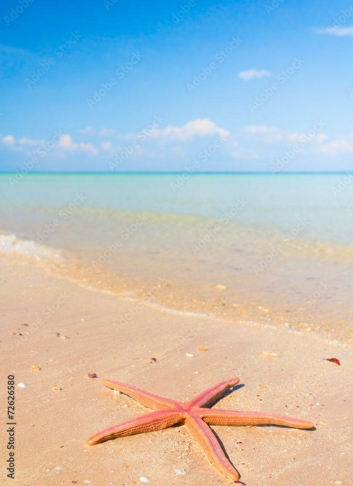 In a Paradise Far from Home On a Beach In a Paradise Far from Home On a Beach