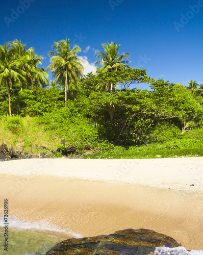 Scene under the Sun In Paradise Found