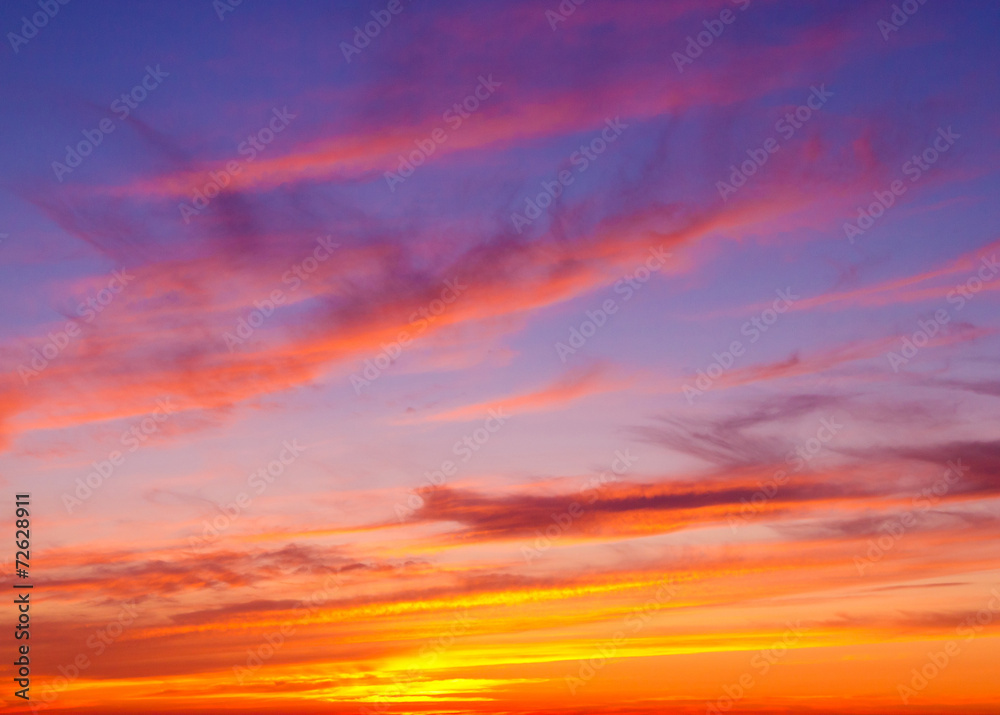 Fototapeta premium Setting Sun Bright Horizon