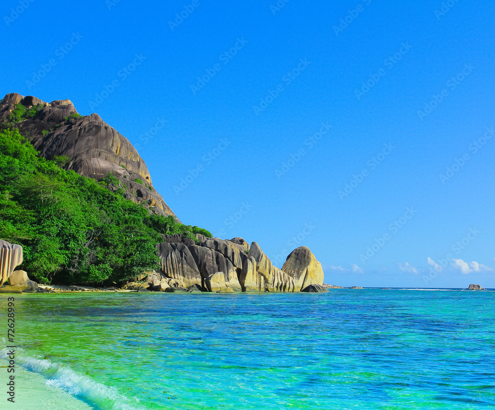 Summertime Jungle Landscape Summertime Jungle Landscape