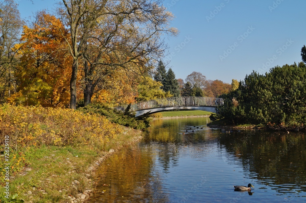 Autumn scenery - bridge in the park - city Lodz Autumn scenery - bridge in the park - city Lodz