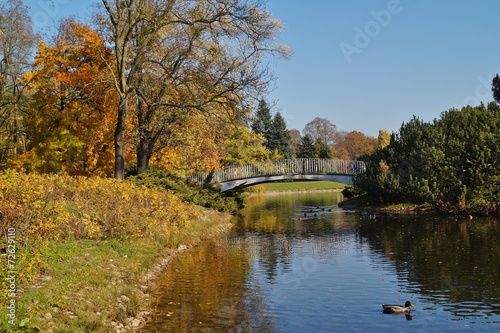Autumn scenery - bridge in the park - city Lodz