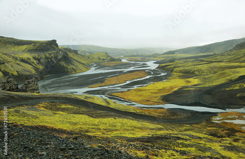 Volcanic landscape covered with moss photo