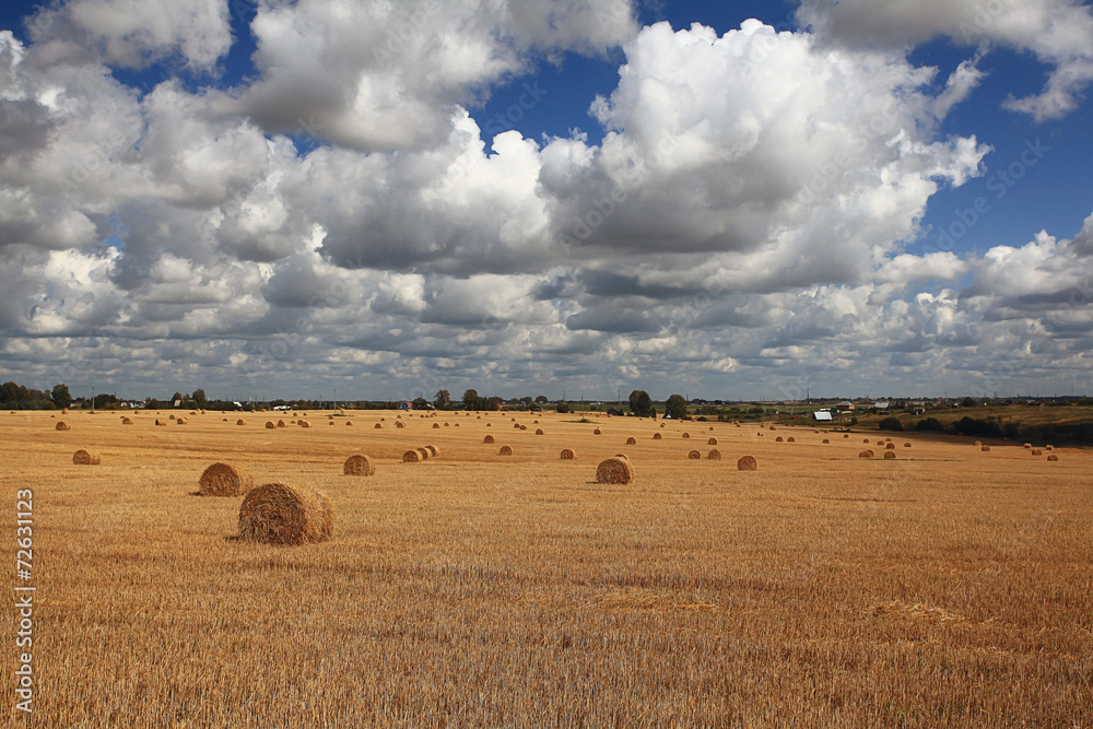 lay hay on field clouds sun