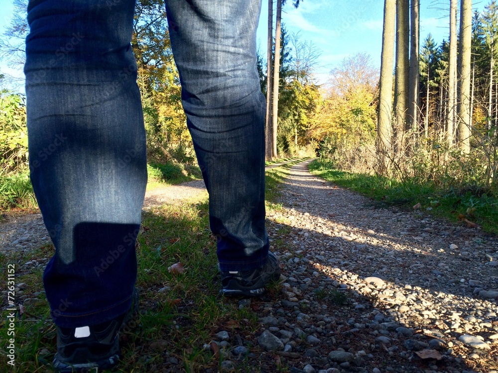 Wandern durch den Herbstwald Wandern durch den Herbstwald
