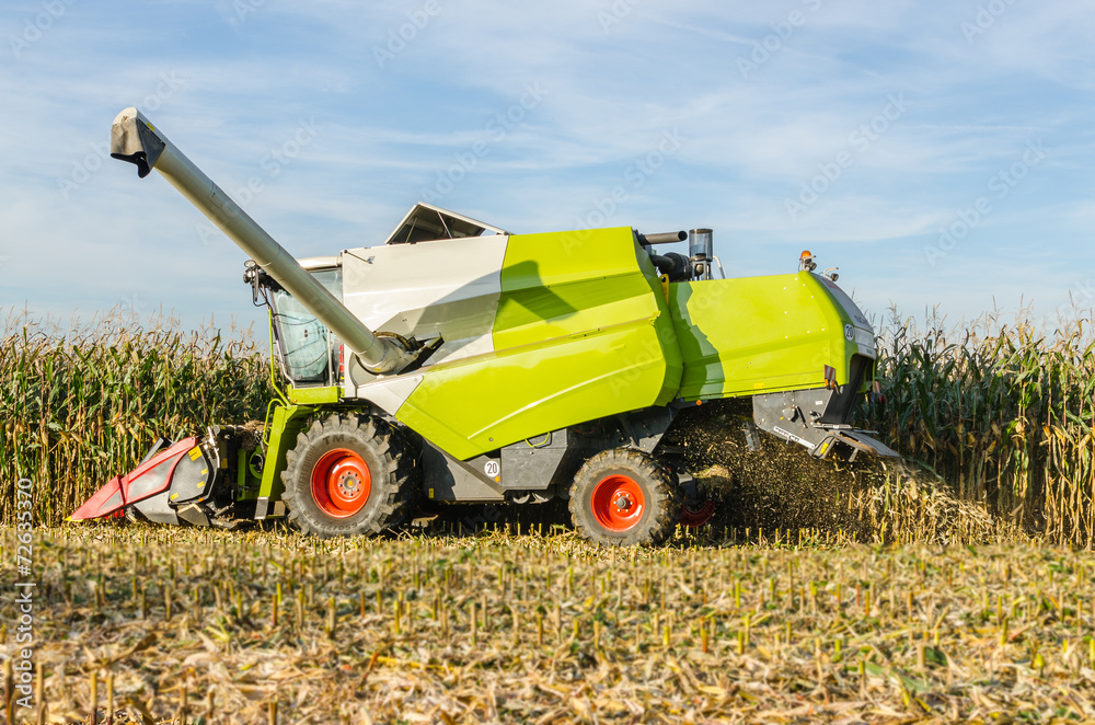 Obraz premium Maisernte mit einem Mähdrescher