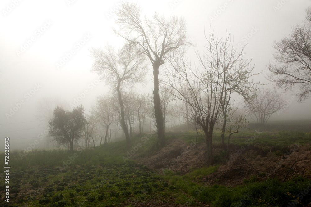 IRPINIA IRPINIA
