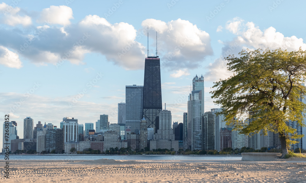 Fototapeta premium View of Downtown Chicago